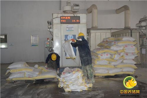 標桿工廠，再創(chuàng)輝煌 浙江播恩預混料與教槽料產(chǎn)銷量破10000噸慶典隆重舉行