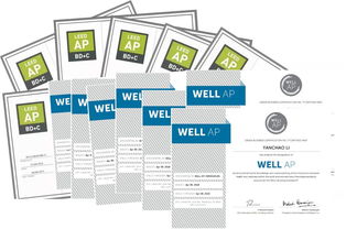 綠建人才筑基 中建設計集團攜手上海可昆啟動WELL AP與LEED AP雙認證培訓，賦能工程電腦圖文設計智慧轉身